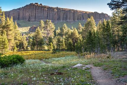 Restoration Vacation Home - Arnold, California