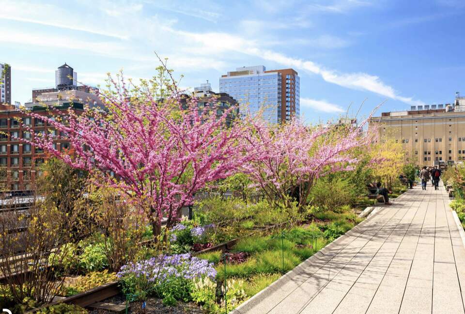 West Chelsea Residence where Cool meets LUX overlooking The HighLine, World Class Art Galleries, Hudson River & Hudson Yards - New York City, New York