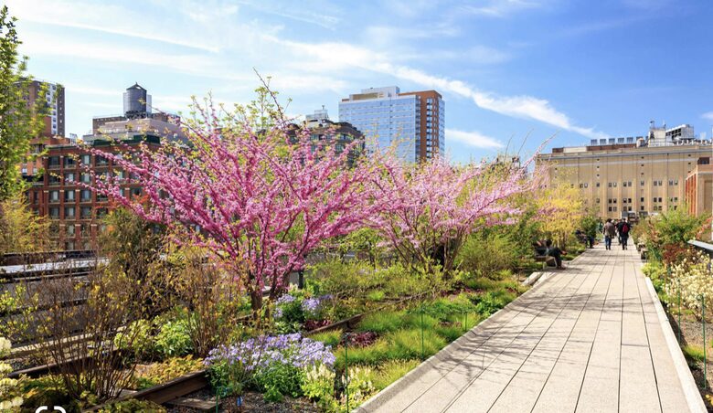 West Chelsea Residence where Cool meets LUX overlooking The HighLine, World Class Art Galleries, Hudson River & Hudson Yards - New York City, New York