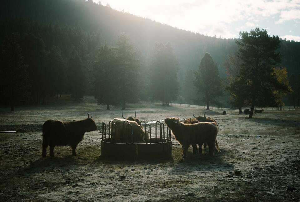 The Ranch House at Petty Creek Mountain Ranch - Alberton, Montana