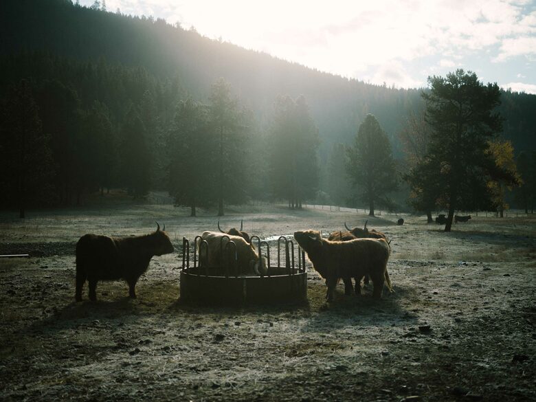 The Ranch House at Petty Creek Mountain Ranch - Alberton, Montana