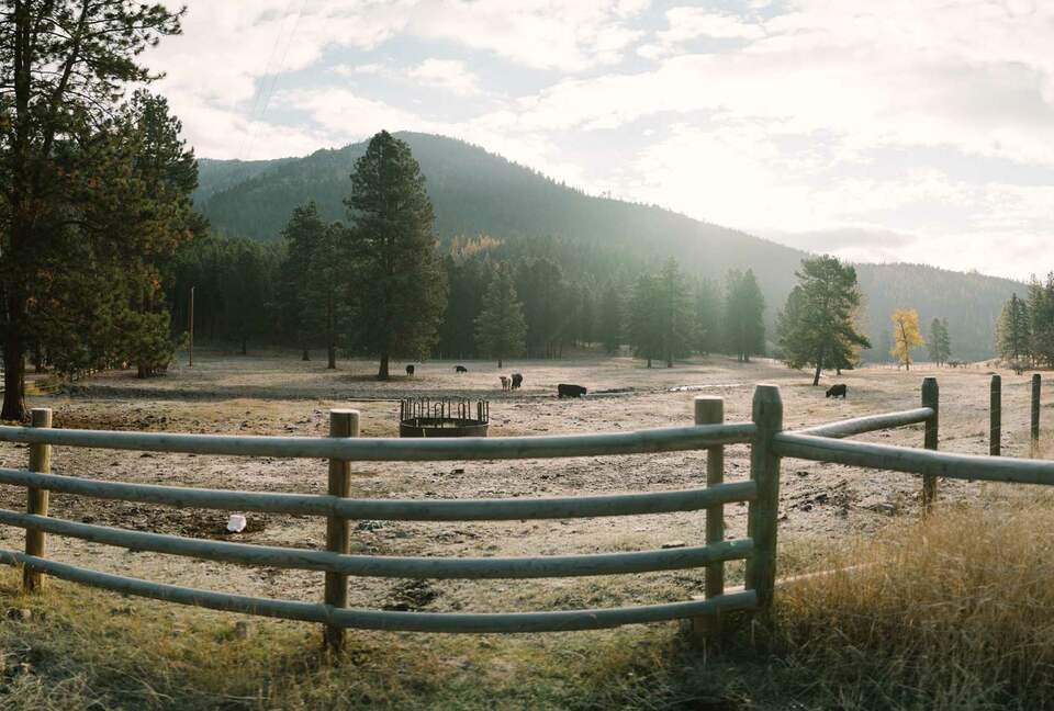 The Ranch House at Petty Creek Mountain Ranch - Alberton, Montana