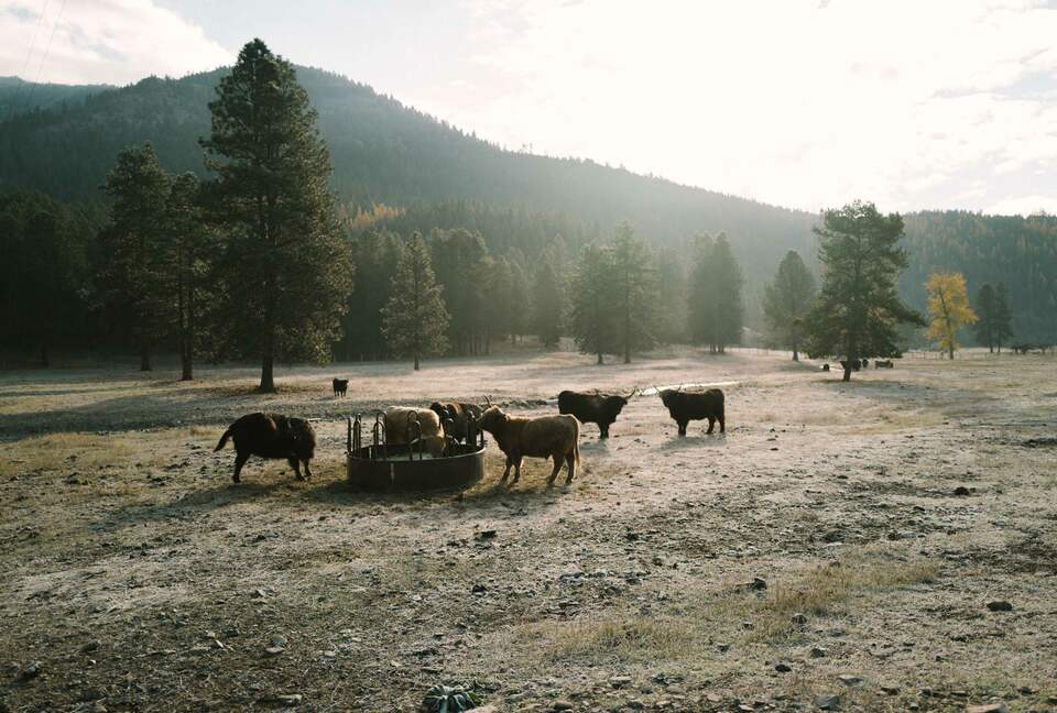 The Ranch House at Petty Creek Mountain Ranch - Alberton, Montana
