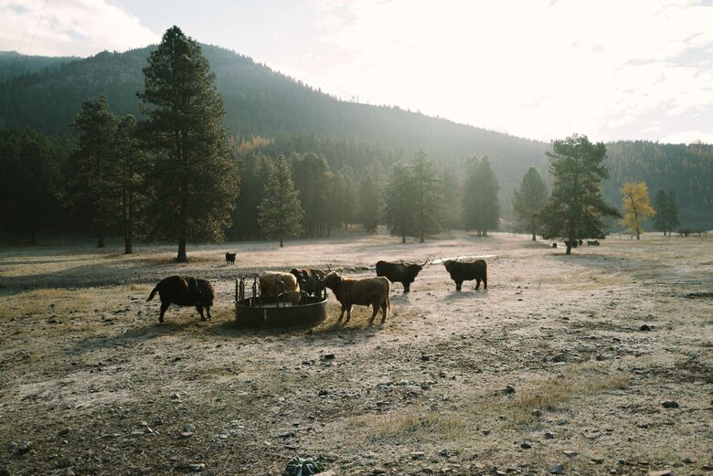 The Ranch House at Petty Creek Mountain Ranch - Alberton, Montana