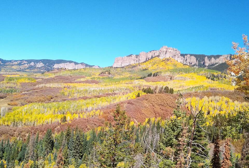 Hummingbird Hideaway - Ridgway, Colorado