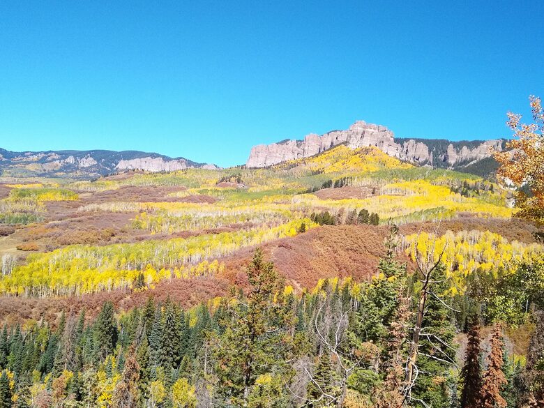 Hummingbird Hideaway - Ridgway, Colorado