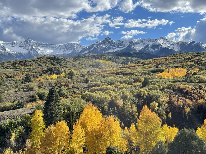 Hummingbird Hideaway - Ridgway, Colorado