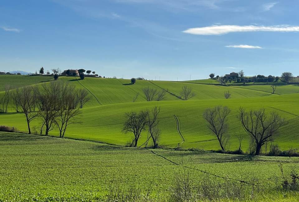 Villa San Lorenzo Umbrian Estate - Castiglione Del Lago, Italy