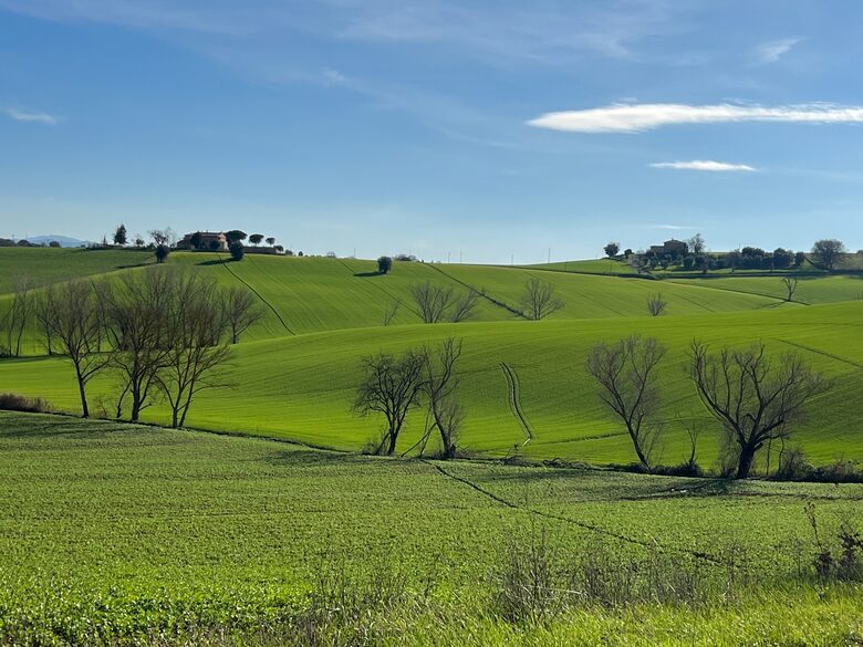 Villa San Lorenzo Umbrian Estate - Castiglione Del Lago, Italy