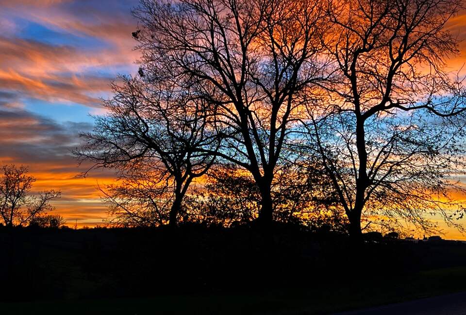 Villa San Lorenzo Umbrian Estate - Castiglione Del Lago, Italy