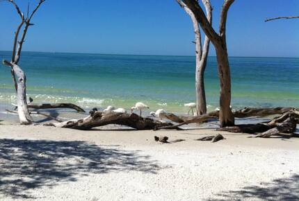 Beachfront MidCentury Modern Flat - Sarasota, Florida