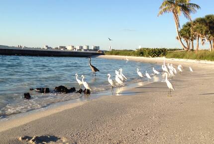 Beachfront MidCentury Modern Flat - Sarasota, Florida