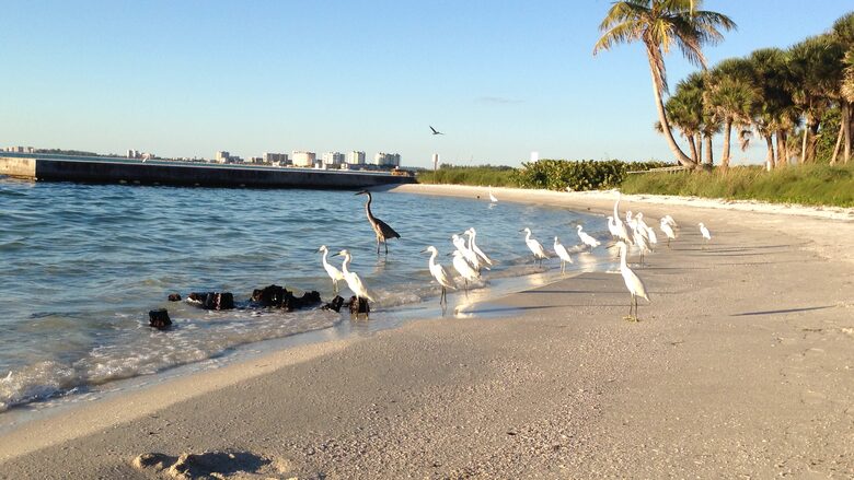 Beachfront MidCentury Modern Flat - Sarasota, Florida
