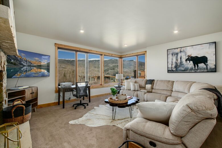 Lower level family room