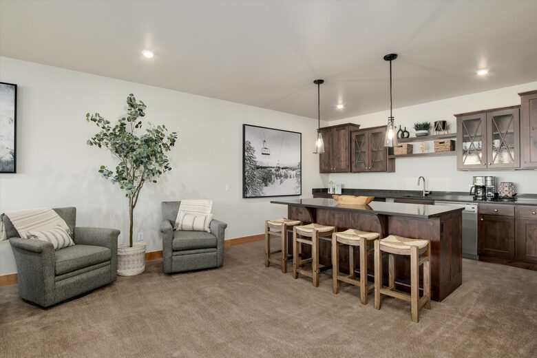 Lower level bar/kitchenette