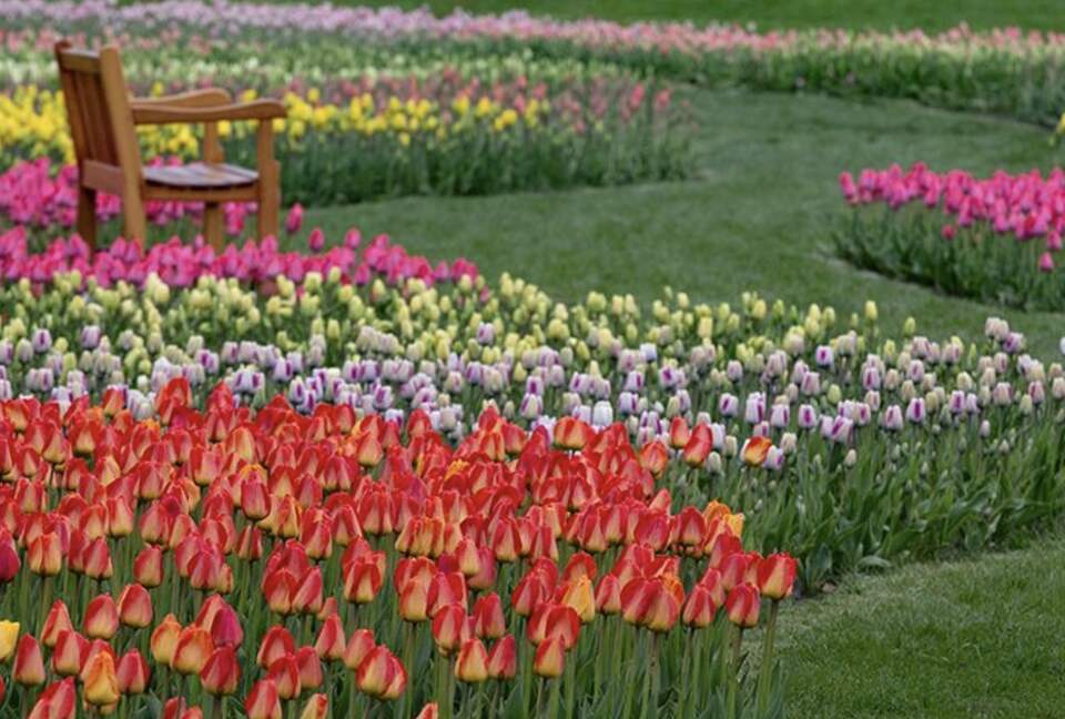 Tulip Time Festival, May 6-14, 2023, Holland, Michigan
