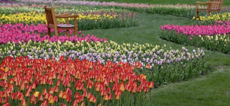 Tulip Time Festival, May 6-14, 2023, Holland, Michigan