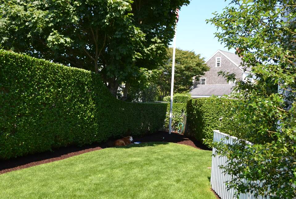 Charming Nantucket Escape with private yard - Nantucket, Massachusetts