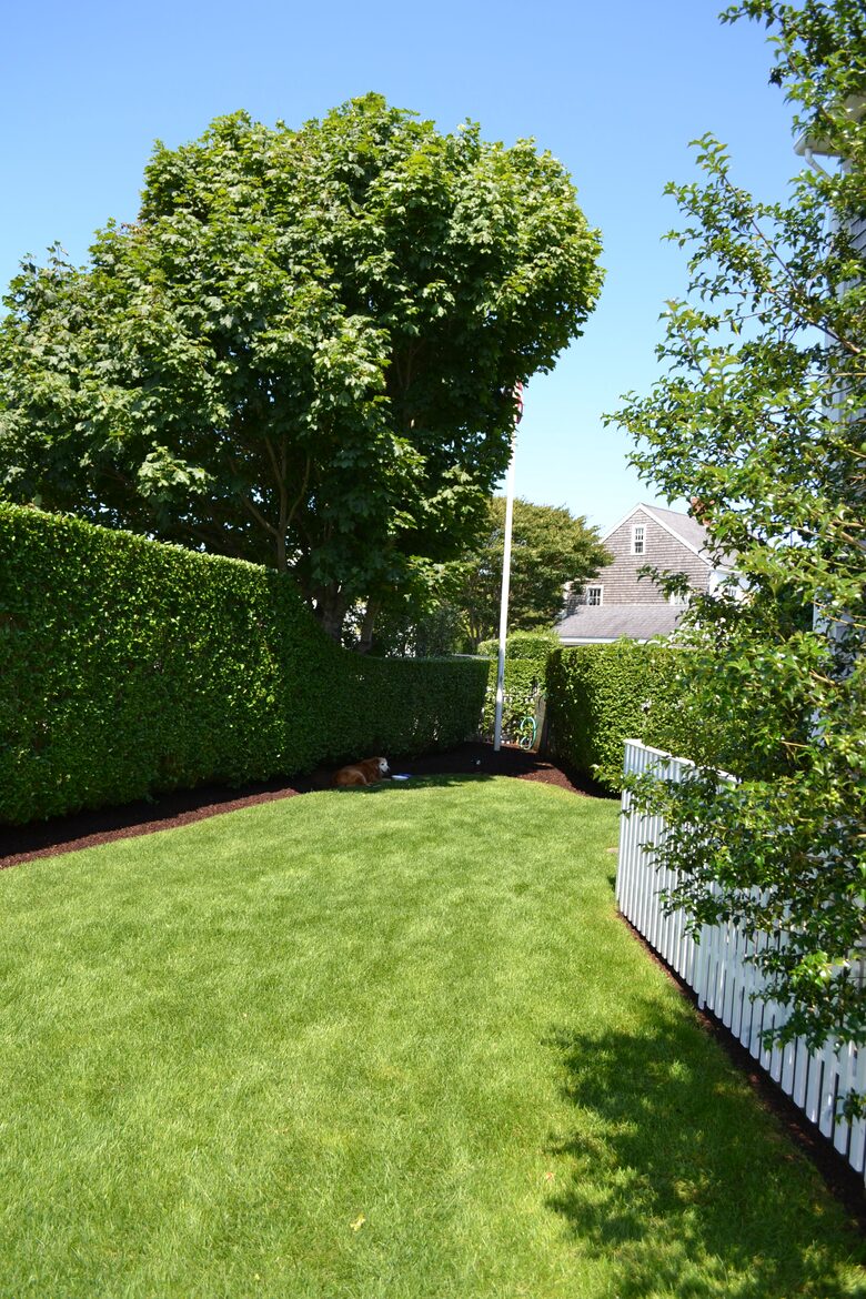 Charming Nantucket Escape with private yard - Nantucket, Massachusetts