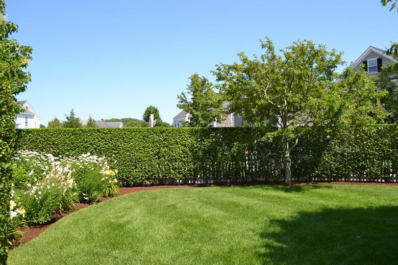 Charming Nantucket Escape with private yard - Nantucket, Massachusetts