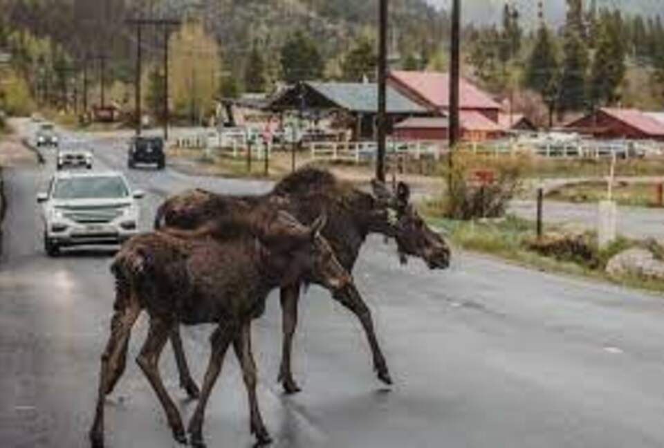 Lakefront Home on the Sunny North Shore of Grand Lake - Grand Lake, Colorado