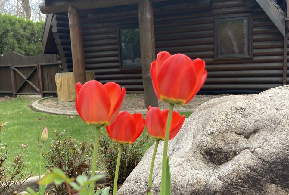 Splinter Shack | Charming Ski Log Cabin 30 minutes from Snowbasin/Powder Mtn. - Ogden, Utah