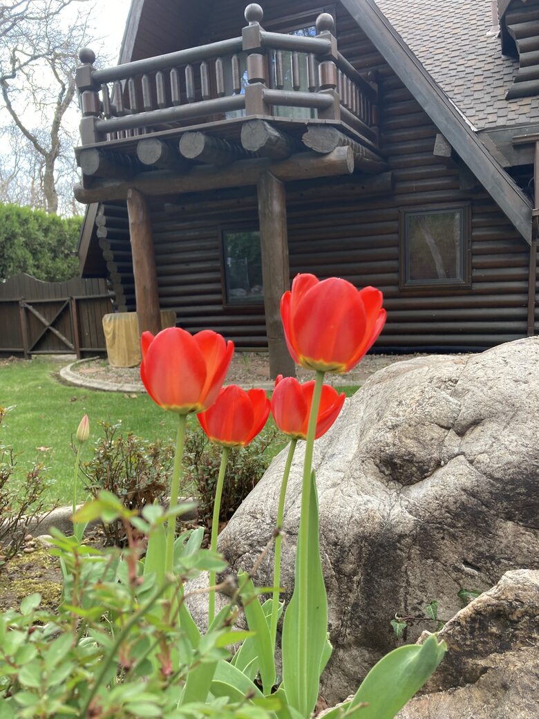 Splinter Shack | Charming Ski Log Cabin 30 minutes from Snowbasin/Powder Mtn. - Ogden, Utah