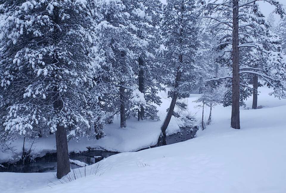 Luxurious Creek Front Oasis - Mammoth Lakes, California