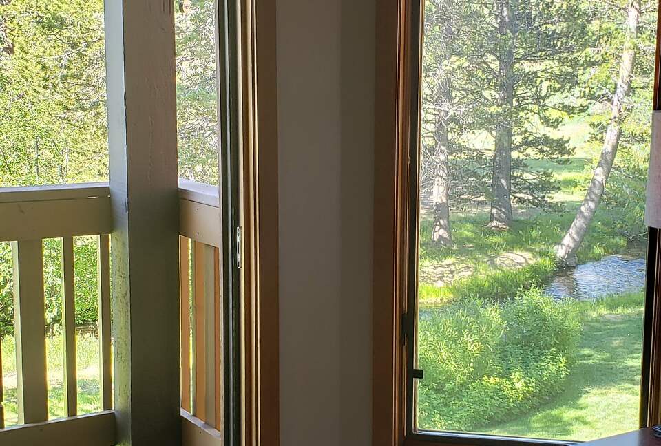 Creek just outside our home