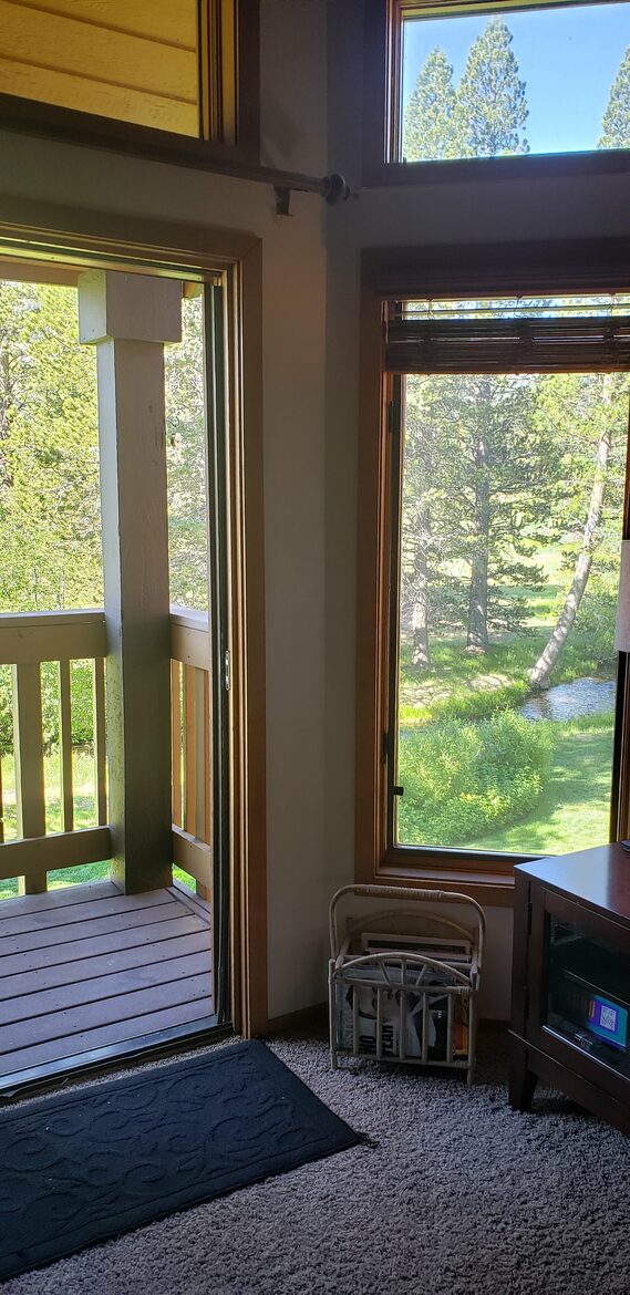 Creek just outside our home