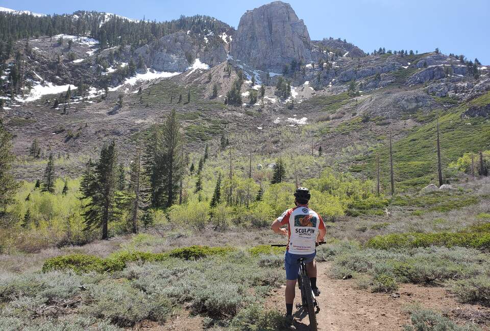 Luxurious Creek Front Oasis - Mammoth Lakes, California