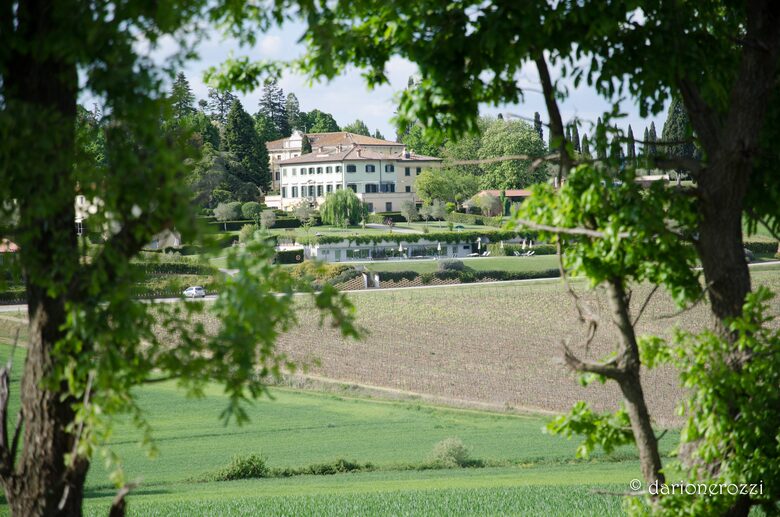 Resort Borgo Syrah Frantoio 5 - Cortona, Italy