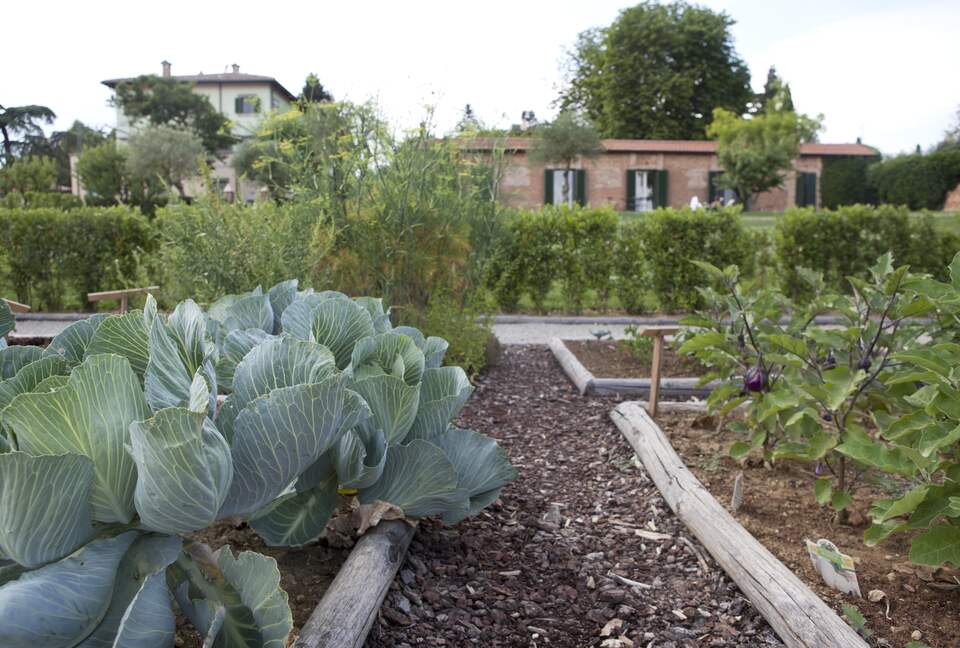 Resort Borgo Syrah Frantoio 5 - Cortona, Italy