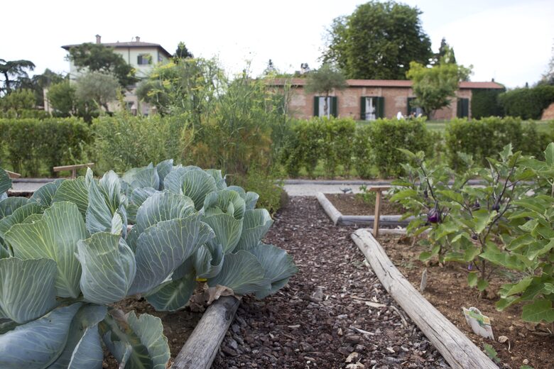 Resort Borgo Syrah Frantoio 5 - Cortona, Italy