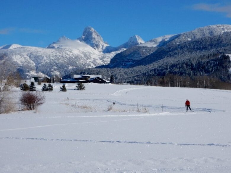 Modern Mountain Retreat | 1 hour from Jackson Hole - Alta, Wyoming