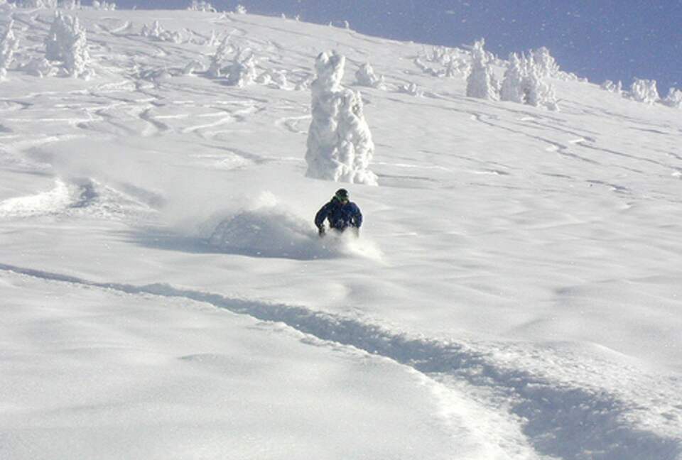 Modern Mountain Retreat | 1 hour from Jackson Hole - Alta, Wyoming