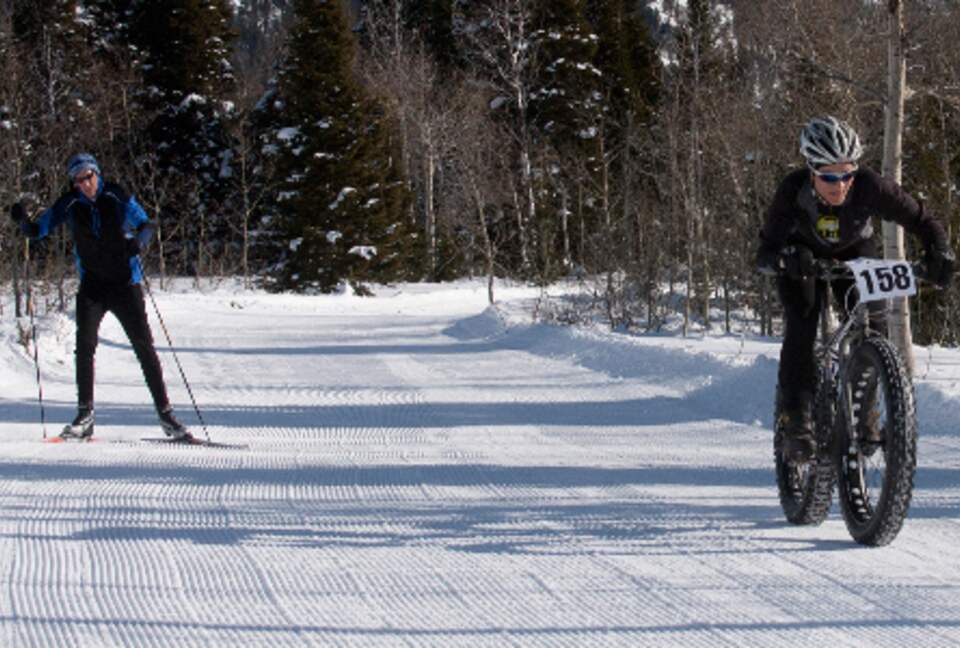 Modern Mountain Retreat | 1 hour from Jackson Hole - Alta, Wyoming