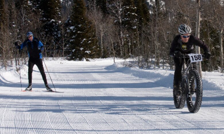 Modern Mountain Retreat | 1 hour from Jackson Hole - Alta, Wyoming