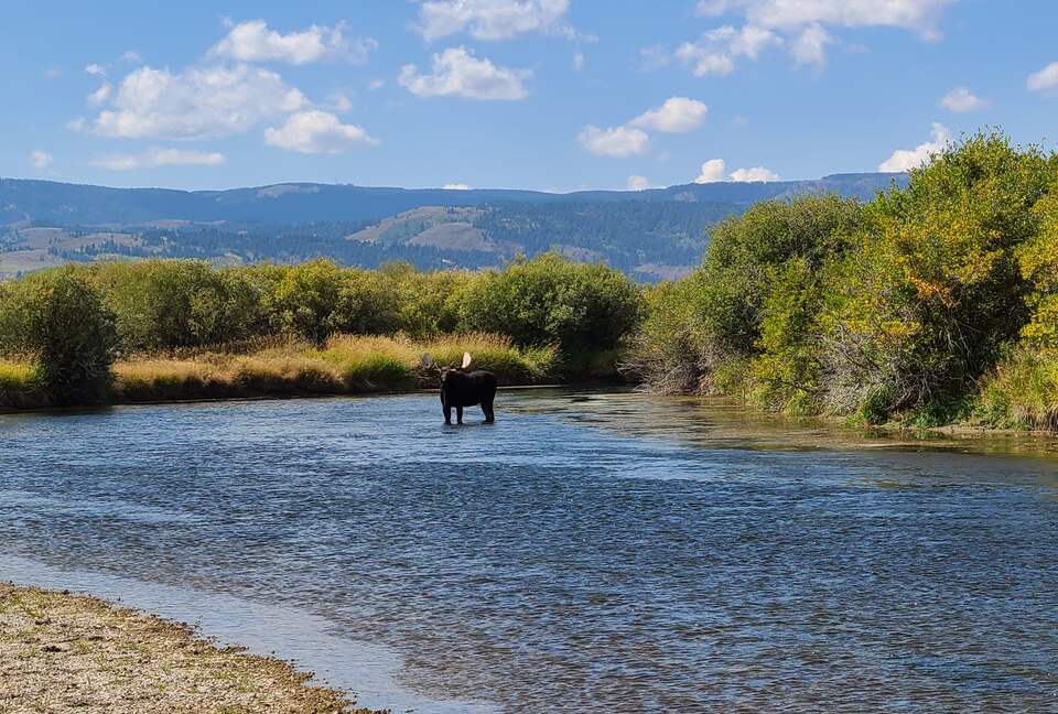 Modern Mountain Retreat | 1 hour from Jackson Hole - Alta, Wyoming