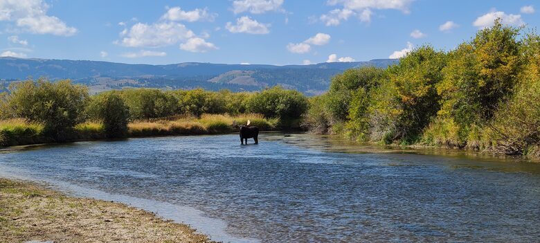 Modern Mountain Retreat | 1 hour from Jackson Hole - Alta, Wyoming