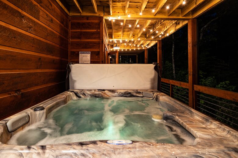 Luxury Mountain and Lake View Cabin - Blue Ridge, Georgia