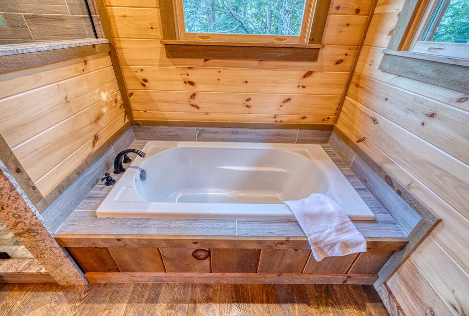 Luxury Mountain and Lake View Cabin - Blue Ridge, Georgia