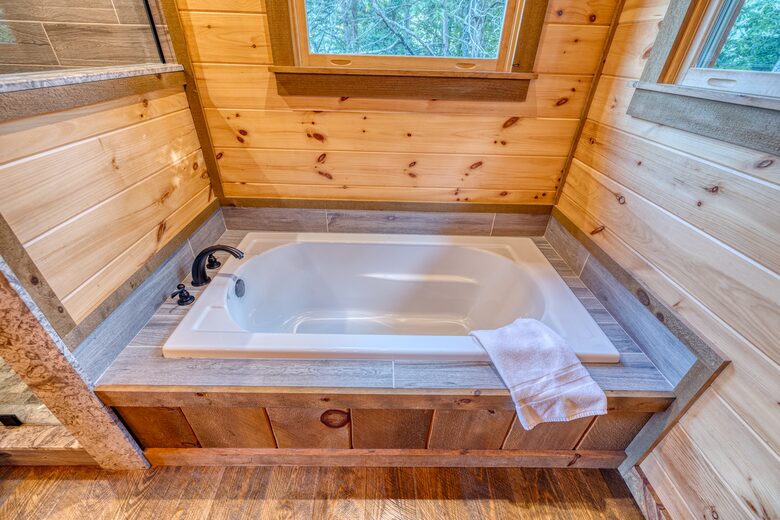 Luxury Mountain and Lake View Cabin - Blue Ridge, Georgia