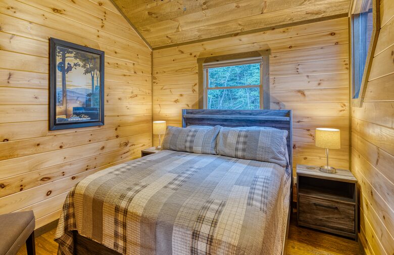 Luxury Mountain and Lake View Cabin - Blue Ridge, Georgia