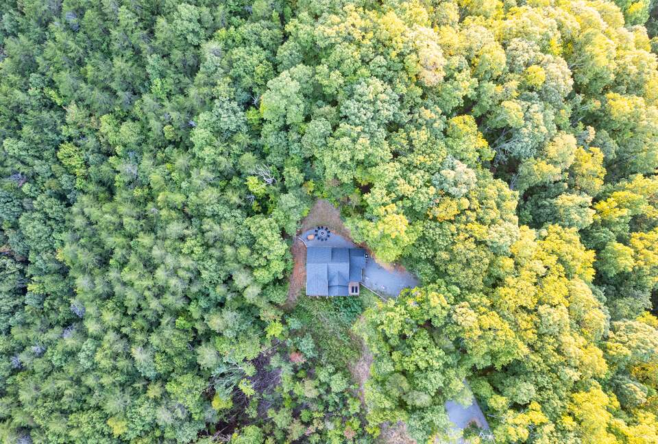Luxury Mountain and Lake View Cabin - Blue Ridge, Georgia