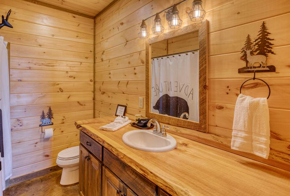 Luxury Mountain and Lake View Cabin - Blue Ridge, Georgia