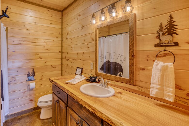 Luxury Mountain and Lake View Cabin - Blue Ridge, Georgia