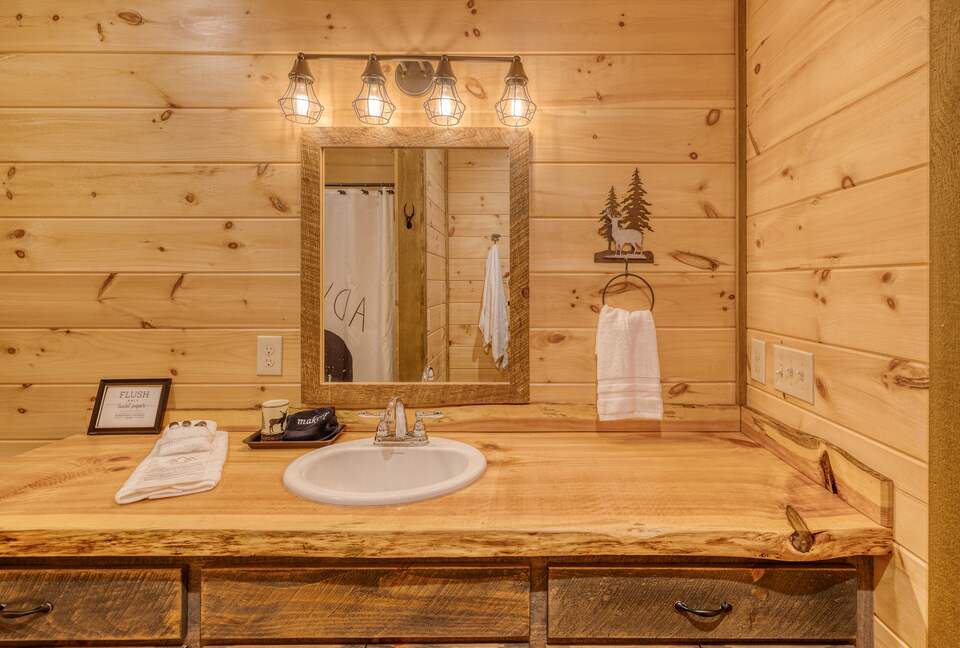 Luxury Mountain and Lake View Cabin - Blue Ridge, Georgia