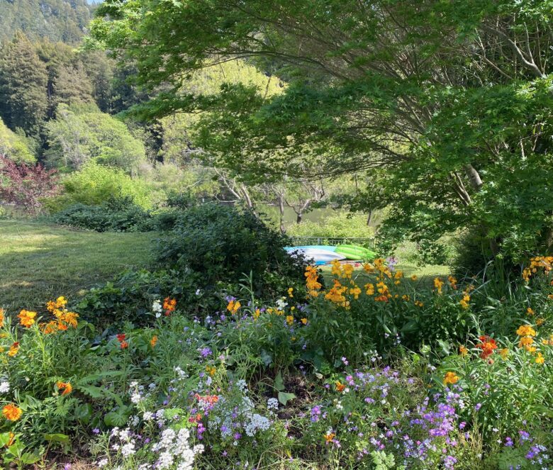 Riverfront Modern Oasis - Monte Rio, California