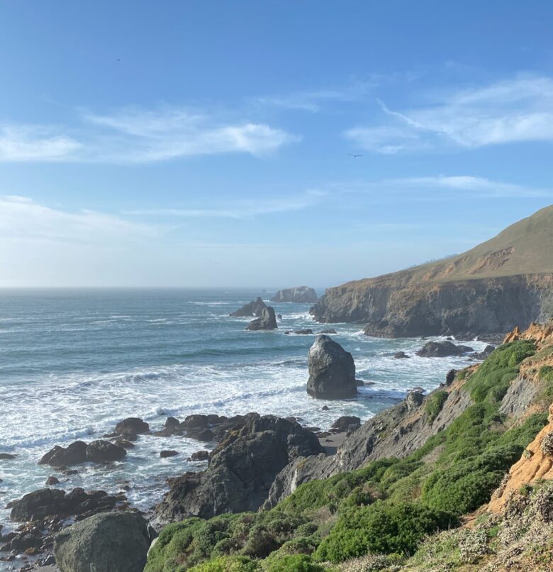 Riverfront Modern Oasis - Monte Rio, California